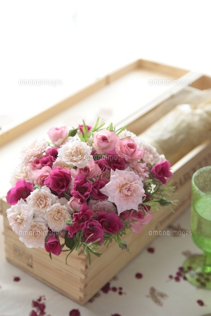 ピンクとマゼンダのバラアレンジ の写真素材 イラスト素材 アマナイメージズ