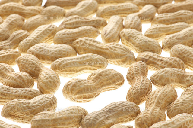 落花生 の写真素材 イラスト素材 アマナイメージズ