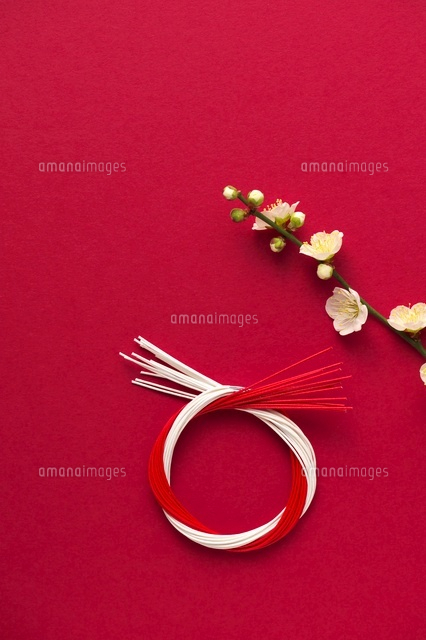 水引と梅 の写真素材 イラスト素材 アマナイメージズ 水引と梅 の写真素材 イラスト素材 アマナイメージズ