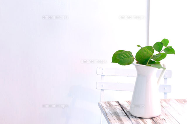 木のテーブルと水差しに活けたレモングラスの枝 の写真素材 イラスト素材 アマナイメージズ