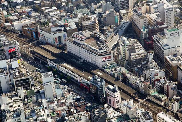 空から見た吉祥寺駅周辺[10348000036]の写真・イラスト素材｜アマナ