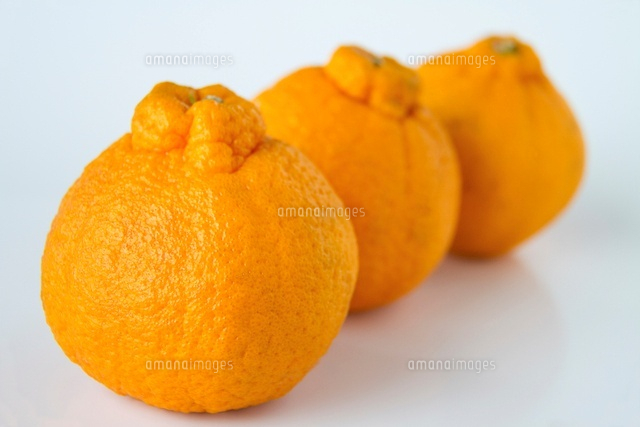みかんデコポンの輪切り の写真素材 イラスト素材 アマナイメージズ
