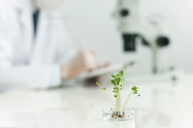 研究員 日本人の写真素材 ストックフォト アマナイメージズ