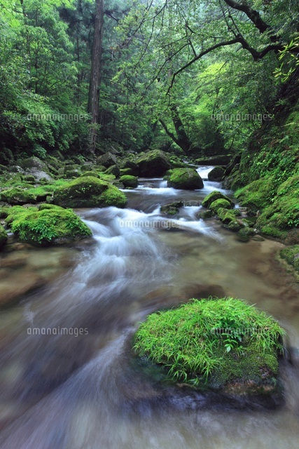 那智山　写真集 和歌山の天神崎がとても凄い 📷Nikon Z8 & Z14-24mm F2.8 S