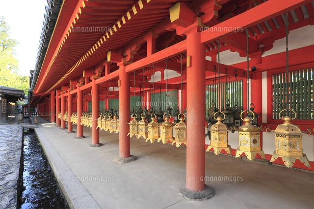 春日大社の西回廊[10368000521]の写真・イラスト素材｜アマナ