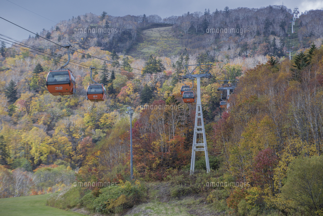 札幌国際スキー場の紅葉とゴンドラ の写真素材 イラスト素材 アマナイメージズ 札幌国際スキー場の紅葉とゴンドラ の写真素材 イラスト素材 アマナイメージズ