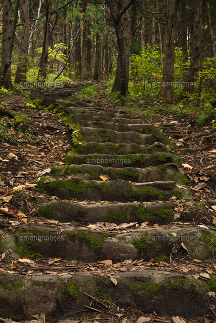 山道の石段 の写真素材 イラスト素材 アマナイメージズ
