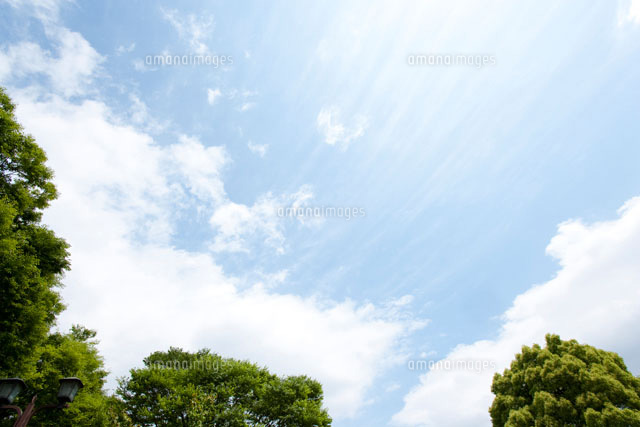 日差しと空と緑 の写真素材 イラスト素材 アマナイメージズ 日差しと空と緑 の写真素材 イラスト素材 アマナイメージズ
