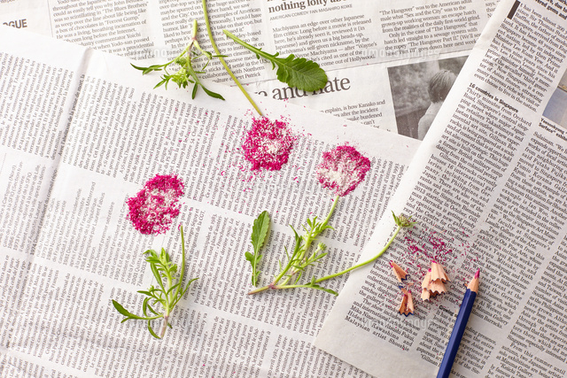 新聞紙の上の花と色鉛筆 の写真素材 イラスト素材 アマナイメージズ