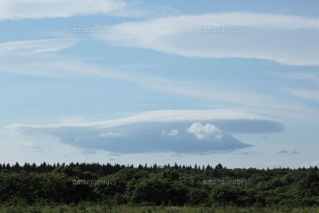 クジラの形をした雲[10393000038]の写真・イラスト素材｜アマナイメージズ
