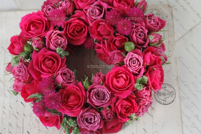 濃いピンク色のバラのリース の写真素材 イラスト素材 アマナイメージズ
