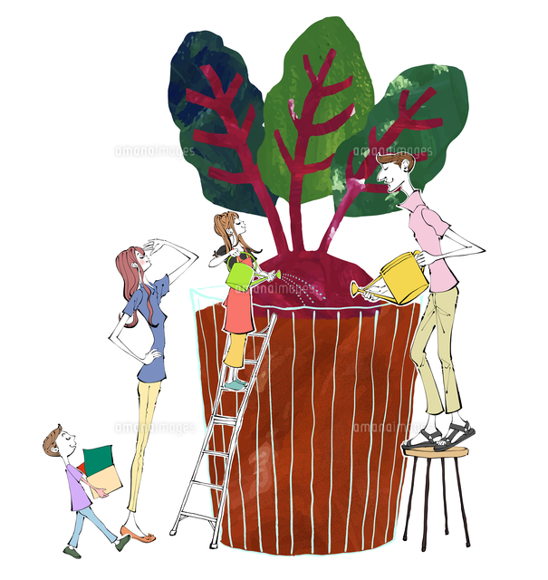 家庭菜園の大きなカブに水や肥料を与える家族のイラスト の写真素材 イラスト素材 アマナイメージズ