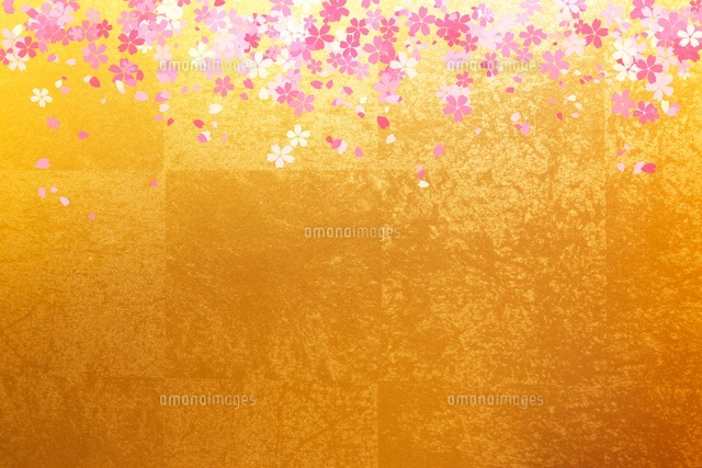 金屏風と桜[10404002125]の写真・イラスト素材｜アマナイメージズ