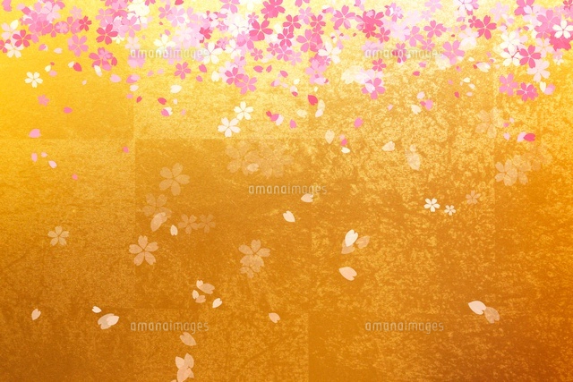 金屏風と桜[10404002125]の写真・イラスト素材｜アマナイメージズ