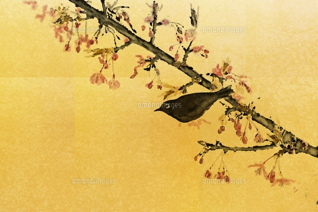 みみ様水彩画　河津桜とめじろさん　値段は※900円です 河津桜とメジロ（フォトイラスト）[10404006107]の写真・イラスト素材