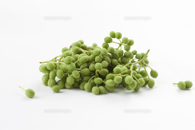 山椒の実 の写真素材 イラスト素材 アマナイメージズ