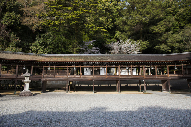 金比羅山の金刀比羅宮 の写真素材 イラスト素材 アマナイメージズ 金比羅山の金刀比羅宮 の写真素材 イラスト素材 アマナイメージズ