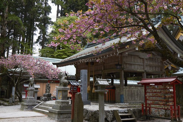 金剛山山頂[10404015477]の写真素材・イラスト素材｜アマナイメージズ