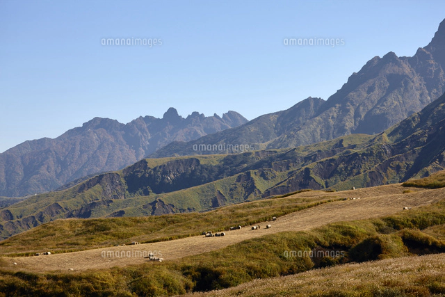 阿蘇の風景根子岳[10404016538]の写真・イラスト素材｜アマナイメージズ