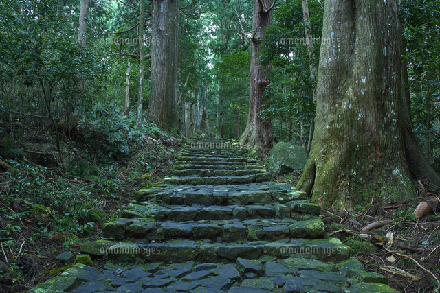 熊野古道大門坂[10404017915]の写真・イラスト素材｜アマナイメージズ