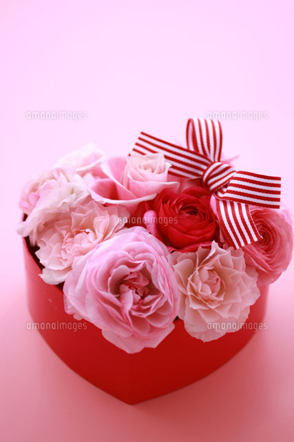 ハートボックスの中のフラワーアレンジとリボン の写真素材 イラスト素材 アマナイメージズ
