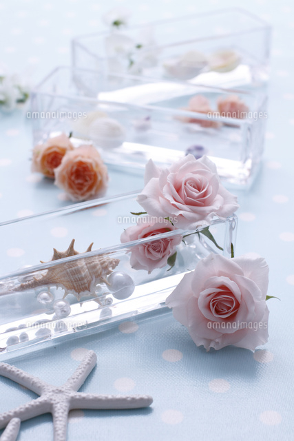 貝とパールが入ったガラスの器とバラとスイートピー の写真素材 イラスト素材 アマナイメージズ
