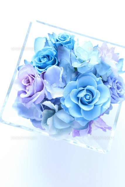 青い花 夏の透明感（プリザーブド・アーティフィシャルフラワー