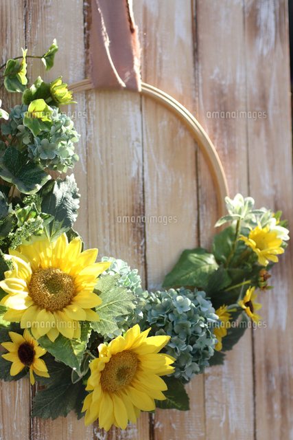 夏のひまわり 葉のリースに日が射して 木製の背景で アーティフィシャルフラワー の写真素材 イラスト素材 アマナイメージズ 夏のひまわり 葉のリースに日が射して 木製の背景で アーティフィシャルフラワー の写真素材 イラスト素材 アマナイメージズ
