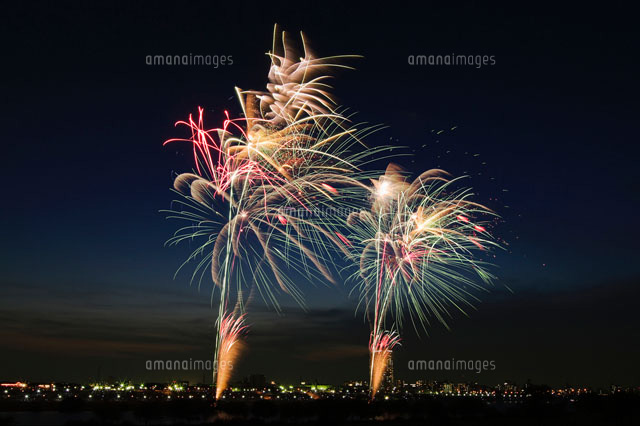 葛飾納涼花火大会 スターマイン の写真素材 イラスト素材 アマナイメージズ