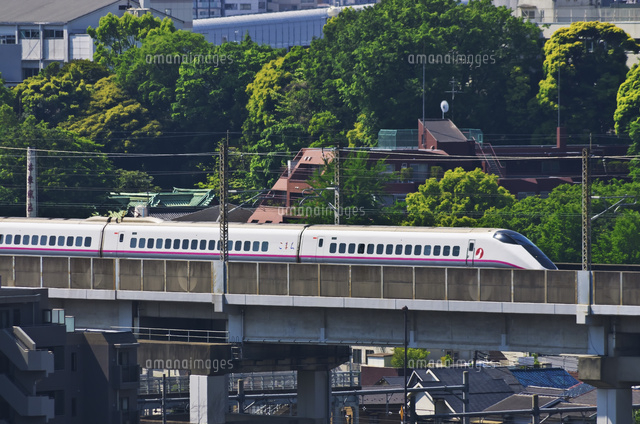 E3系　秋田新幹線　こまち 赤色の車体じゃない方の「こまち」 | 鉄道模型・Nゲージ