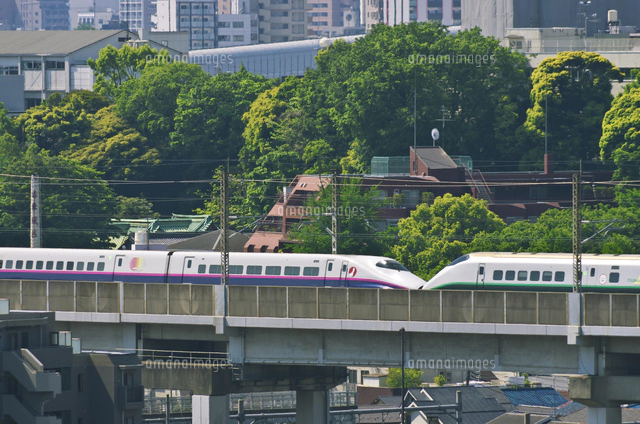 東京を走る秋田新幹線E3系こまち[10408000690]の写真・イラスト素材