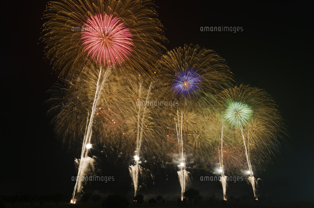 古河花火大会 千輪の花園 の写真素材 イラスト素材 アマナイメージズ