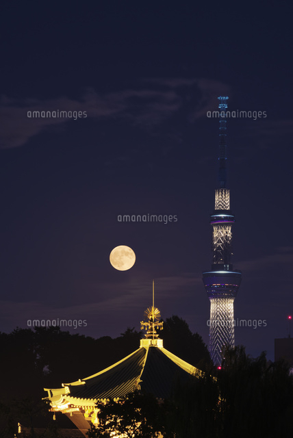 上野不忍池弁天堂とスーパームーン の写真素材 イラスト素材 アマナイメージズ
