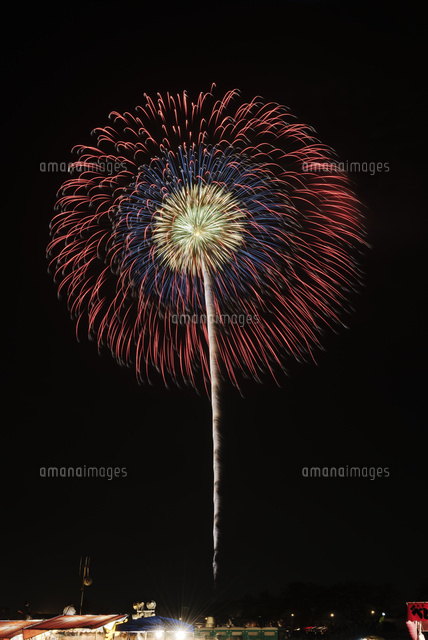 土浦全国花火競技大会で昇り曲導付三重芯変化菊 の写真素材 イラスト素材 アマナイメージズ