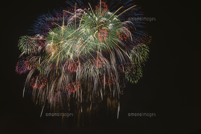 こうのす花火大会の合同花火 の写真素材 イラスト素材 アマナイメージズ
