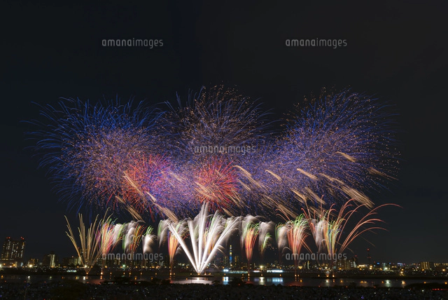 足立の花火と東京スカイツリー[10408001818]の写真・イラスト素材