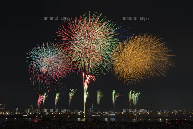 足立の花火と東京スカイツリー[10408001818]の写真・イラスト素材