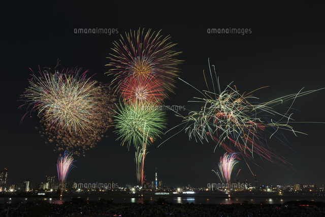 足立の花火と東京スカイツリー[10408001816]の写真・イラスト素材