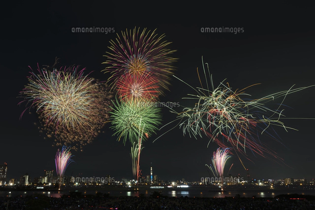 足立の花火と東京スカイツリー[10408001818]の写真・イラスト素材