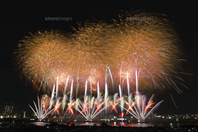 足立の花火と東京スカイツリー[10408001818]の写真・イラスト素材