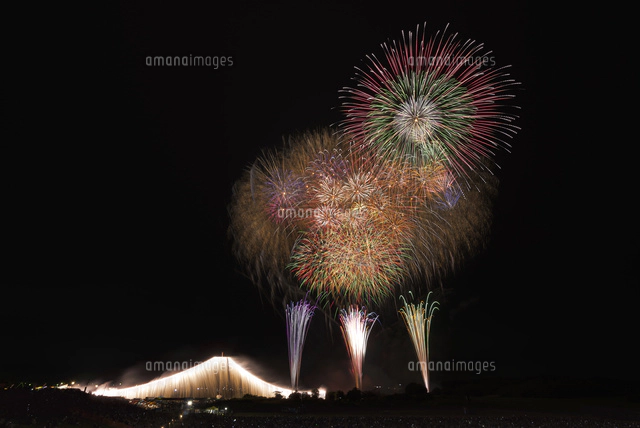 足立の花火 第5章 黄金のしだれ桜 の写真素材 イラスト素材 アマナイメージズ