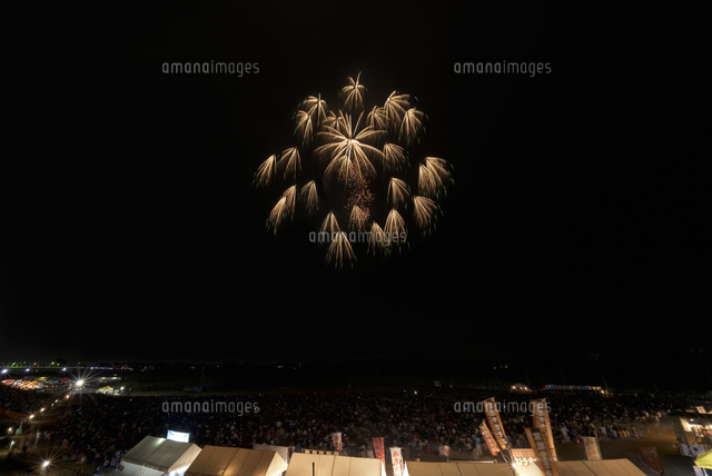 常総きぬ川花火大会 8号玉 昇曲付椰子芯椰子千輪 の写真素材 イラスト素材 アマナイメージズ