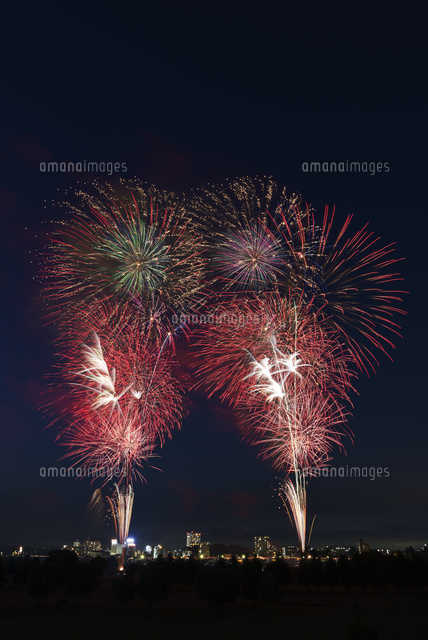 とりで利根川大花火 うちにねこがやってきた の写真素材 イラスト素材 アマナイメージズ