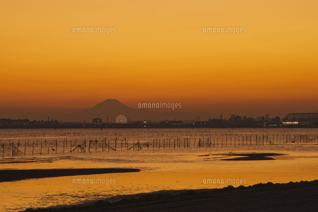 関東の富士見百景 富士山暮色と観覧車 の写真素材 イラスト素材 アマナイメージズ