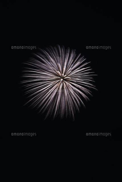 いせはら芸術花火大会 花火図鑑 の写真素材 イラスト素材 アマナイメージズ