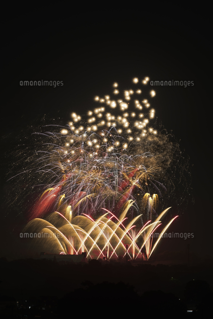 いせはら芸術花火大会 伊勢原市民花火 ミニメロディ花火 の写真素材 イラスト素材 アマナイメージズ