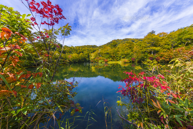 初秋の鎌池 の写真素材 イラスト素材 アマナイメージズ