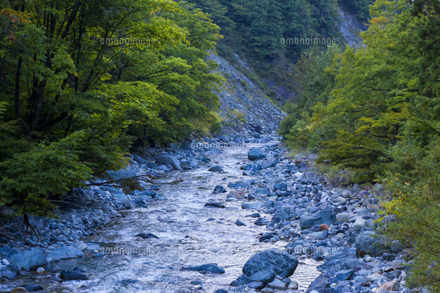 初秋の松川 の写真素材 イラスト素材 アマナイメージズ