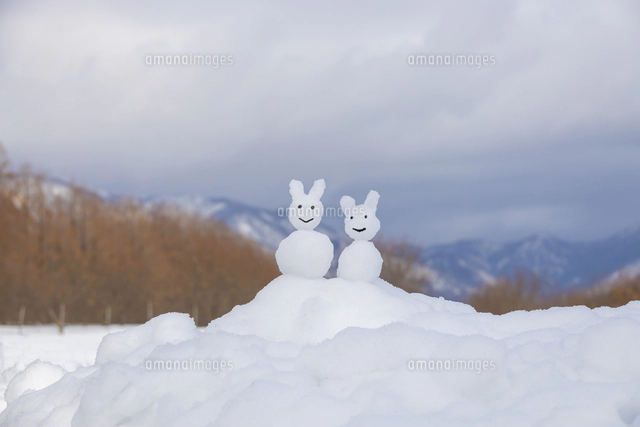 雪うさぎ 3 ユキウサギ 35 | HANSA
