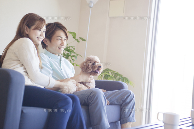 ソファに座るカップルと犬 の写真素材 イラスト素材 アマナイメージズ